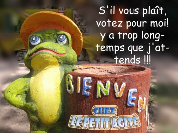 medium_montage-copie.jpgw.jpg